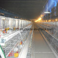 Broiler Poultry Farm Equipment Chicken Cage From China